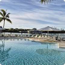 Resort swimming pool beneath palm trees