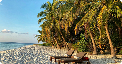 A quiet tropical beach with palm trees and sun loungers
